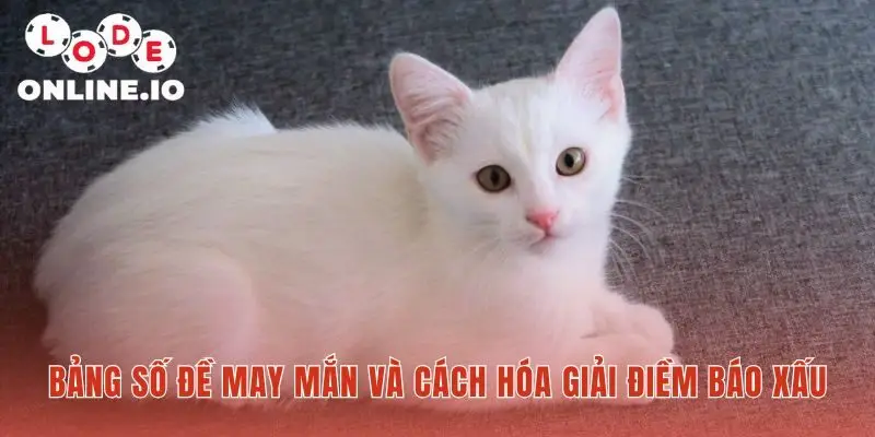 Bảng số Mơ thấy mèo giúp hóa giải điềm xấu hiệu quả