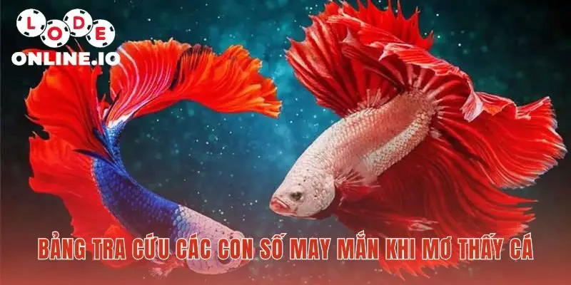 Bảng tra cứu số may mắn cho các giấc mơ cá phổ biến nhất