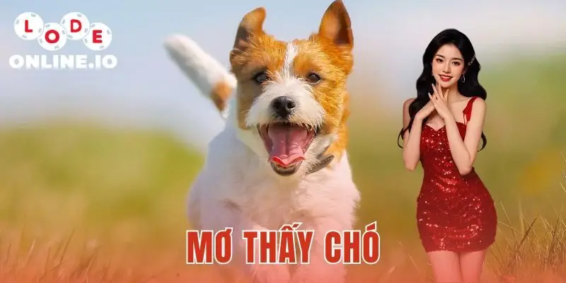 Mơ Thấy Chó